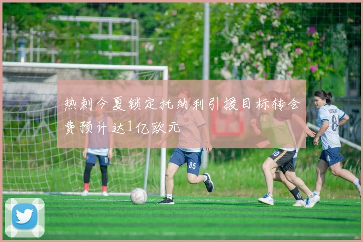 热刺今夏锁定托纳利引援目标转会费预计达1亿欧元