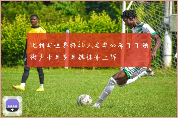 比利时世界杯26人名单公布丁丁领衔卢卡库多库裤袜齐上阵